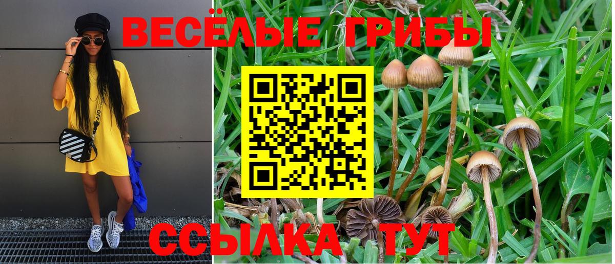 Галлюциногенные грибы MAGIC MUSHROOMS  Псилоцибиновые грибы Magic Shrooms  Вход с VPN  Краснотурьинск 